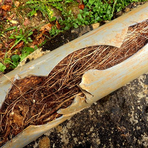 Same Day Drain Sewer & Rooter Pros Across Brentwood